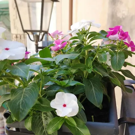 La Vanedda * Syracuse