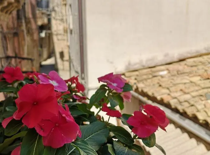 La Vanedda Appartement